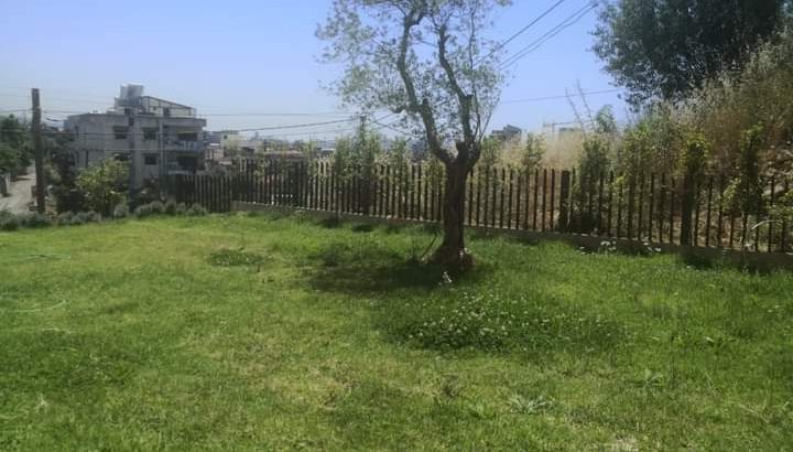 MyImage1639069638668Image