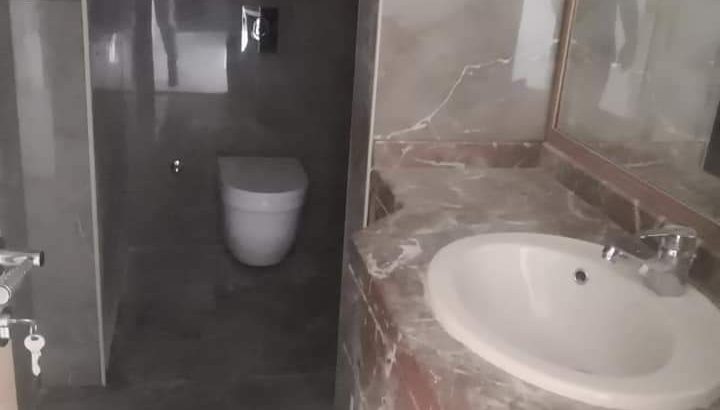 MyImage1639427488017Image