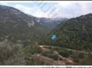 Land for sale in Amchit