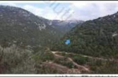 Land for sale in Amchit