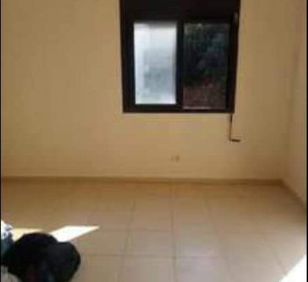 MyImage1640609970078Image
