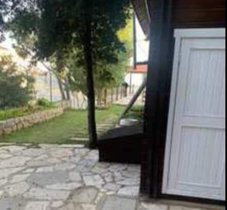 MyImage1642102642626Image