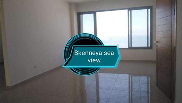 Apartment for sale in Hal El Dik Bkenneya