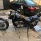 Honda Steed