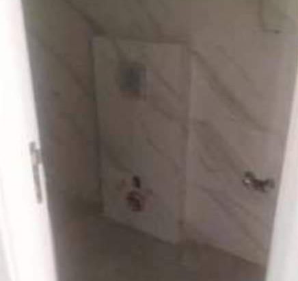 MyImage1644237941463Image