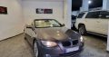 BMW 320 serie 3 2010