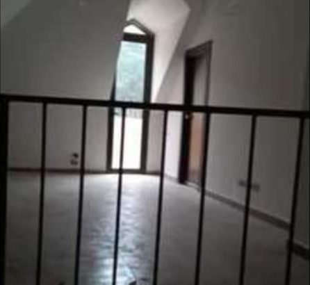 MyImage1646597563250Image