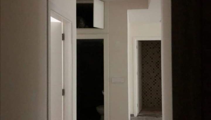 MyImage1647011382290Image