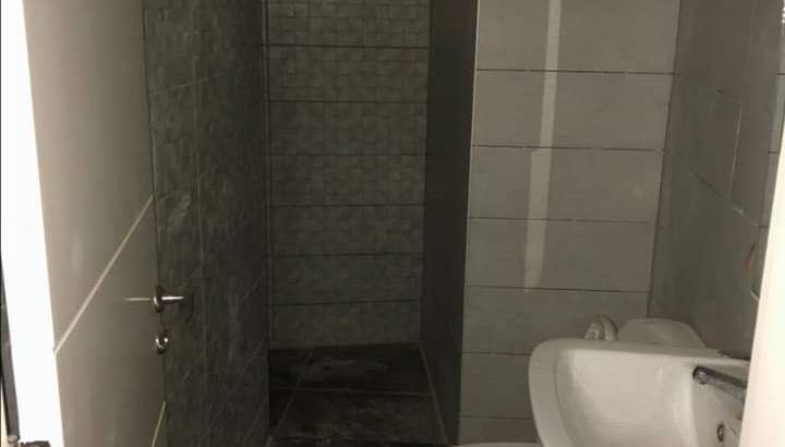 MyImage1647011383159Image
