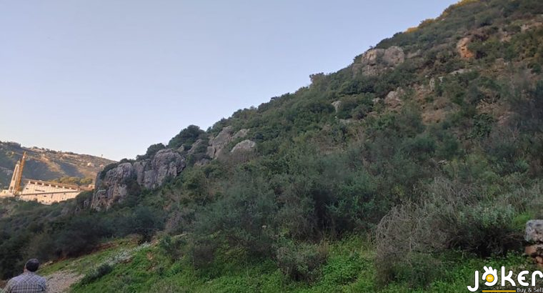 PL#0533 Jrabta Picture 1 Area 19459Sqm
