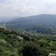 Land for Sale Bejjeh Jbeil Area 1741Sqm