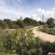 Land for Sale Bejjeh Jbeil Area 1414Sqm