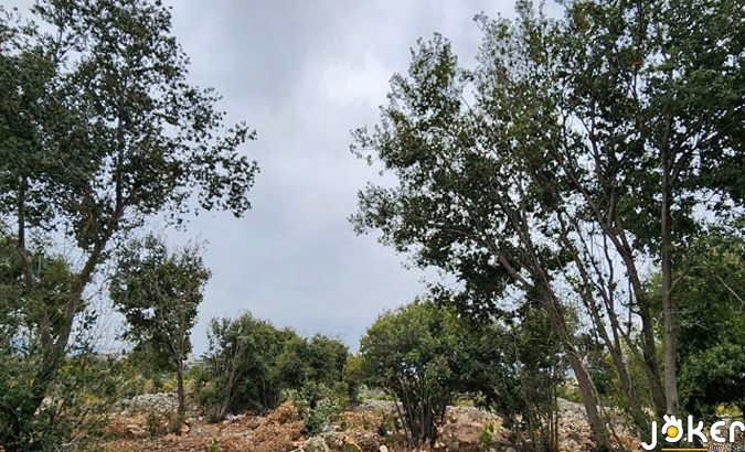 PL#0660 Plot 2140 Monsef P2